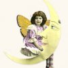 Welcome to Moon Astrology